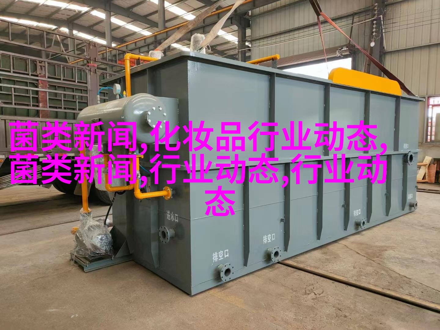 养殖业做什么赚钱(搞养殖业什么项目好)