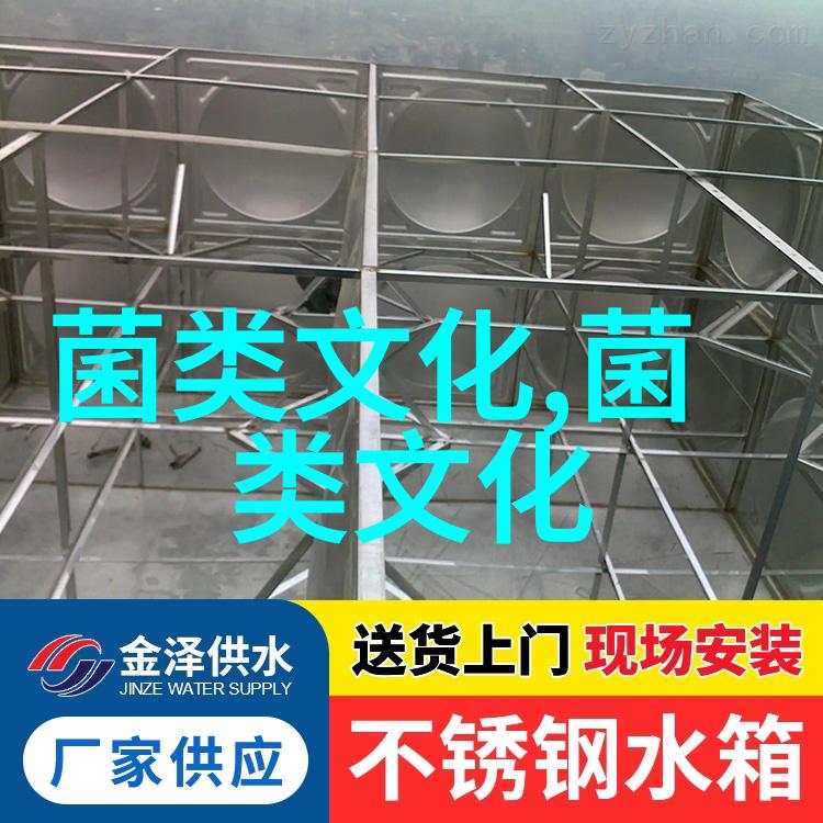 河南采用先进技术 鲁山县食用菌现代产业园项目钱景可观