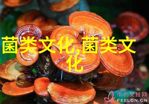 德国科学家从暗褐网褶菌中分离出最苦物质