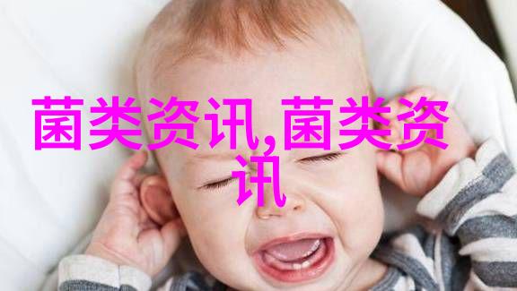 云南食用菌将印上国家名片