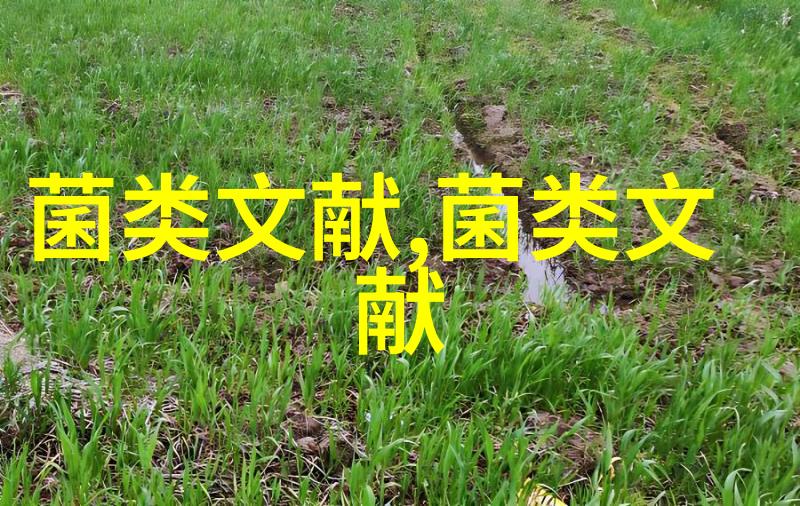 拉格啤酒酵母菌物种和株系的快速分子鉴定