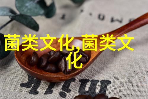 湖南江华河路口镇230多个标准大棚种植黑皮鸡枞菌