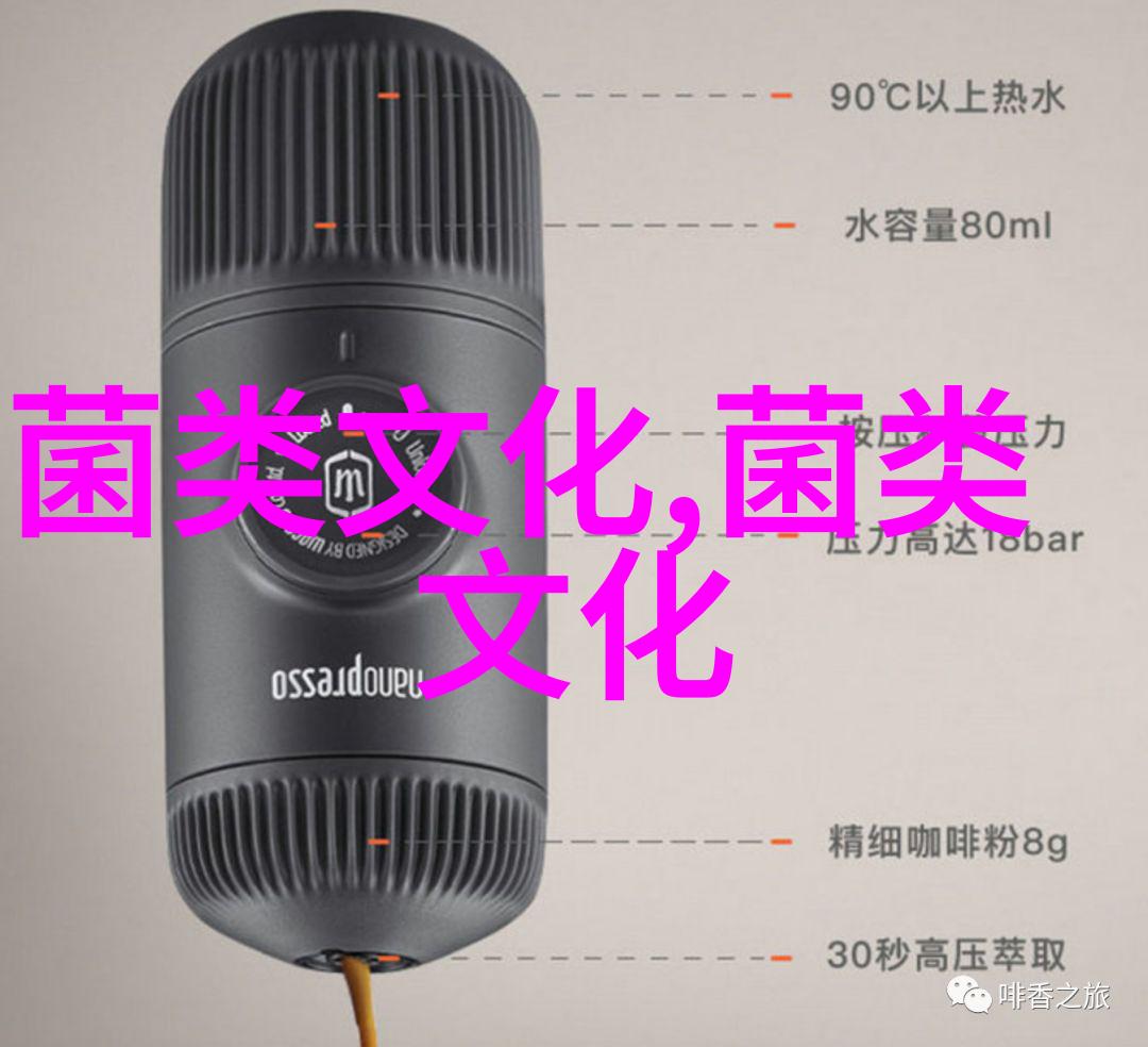 不断夯实农业基础 加力推进乡村振兴解读2025年