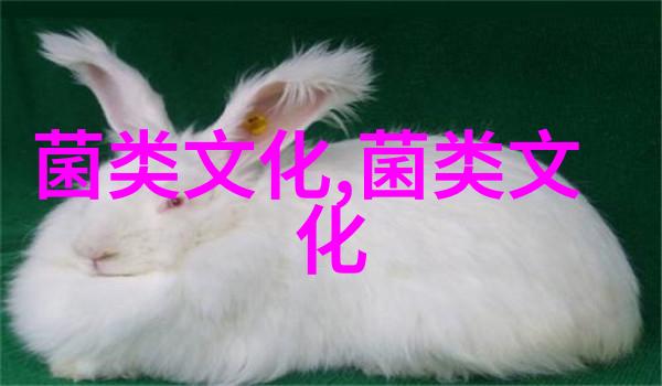 菇菌文化