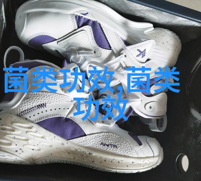 竹荪养生知多少