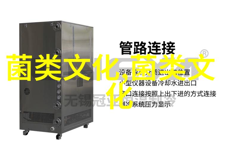茯苓的养生奥妙