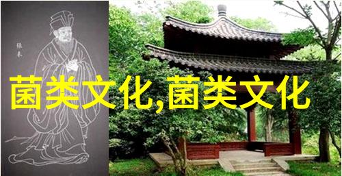 蘑菇素吃也诱人