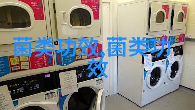 像松茸那样谦逊地生长