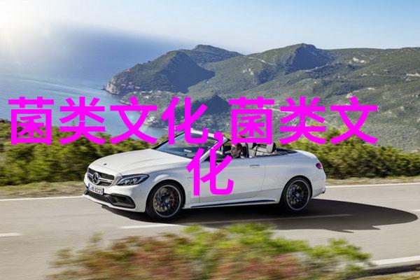 这里的黑木耳早在唐代就成为钦点贡品