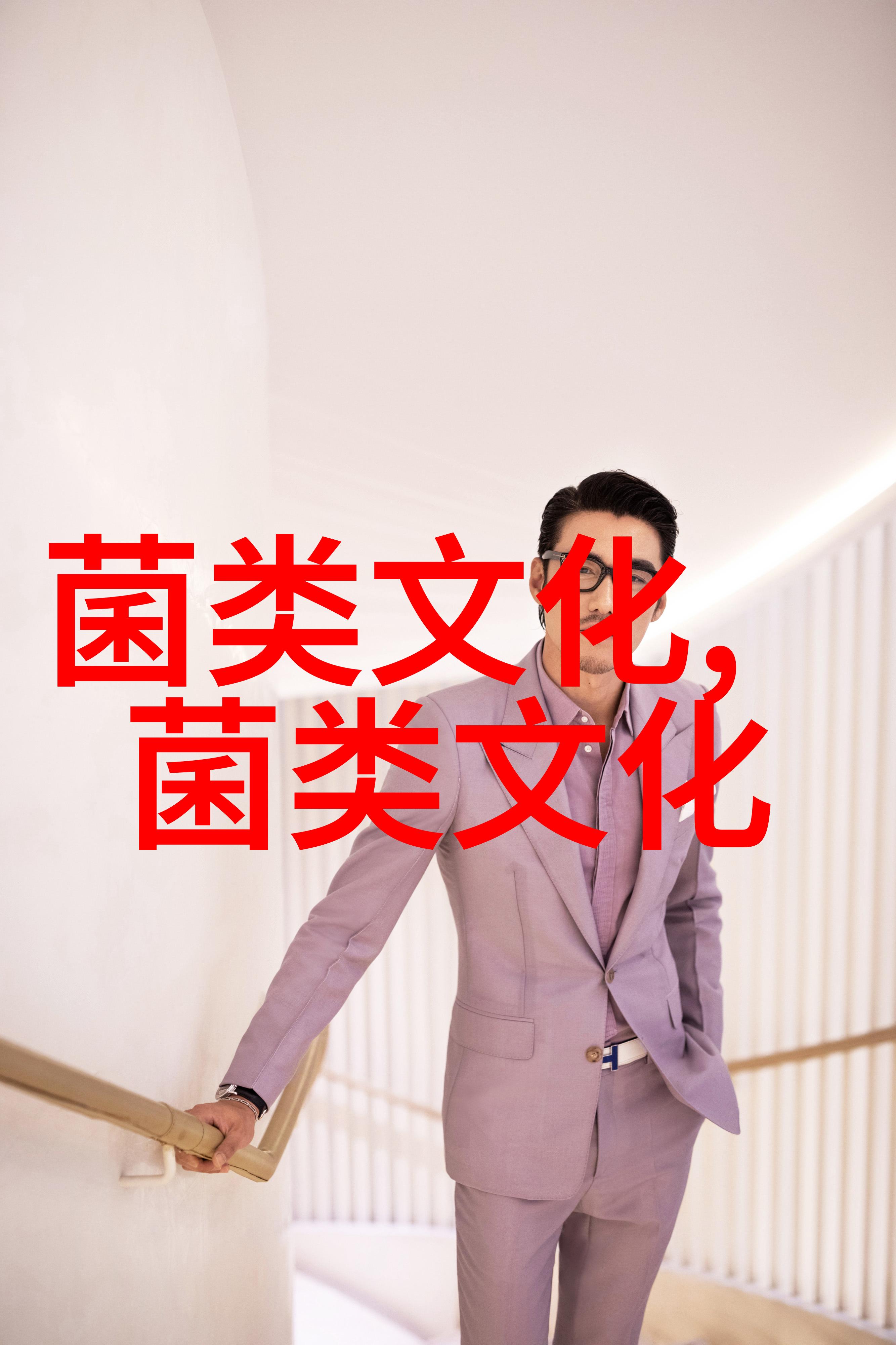 鸡枞 童年的记忆和味道