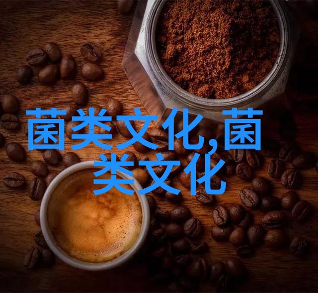 美味羊肚菌被称为健康食品