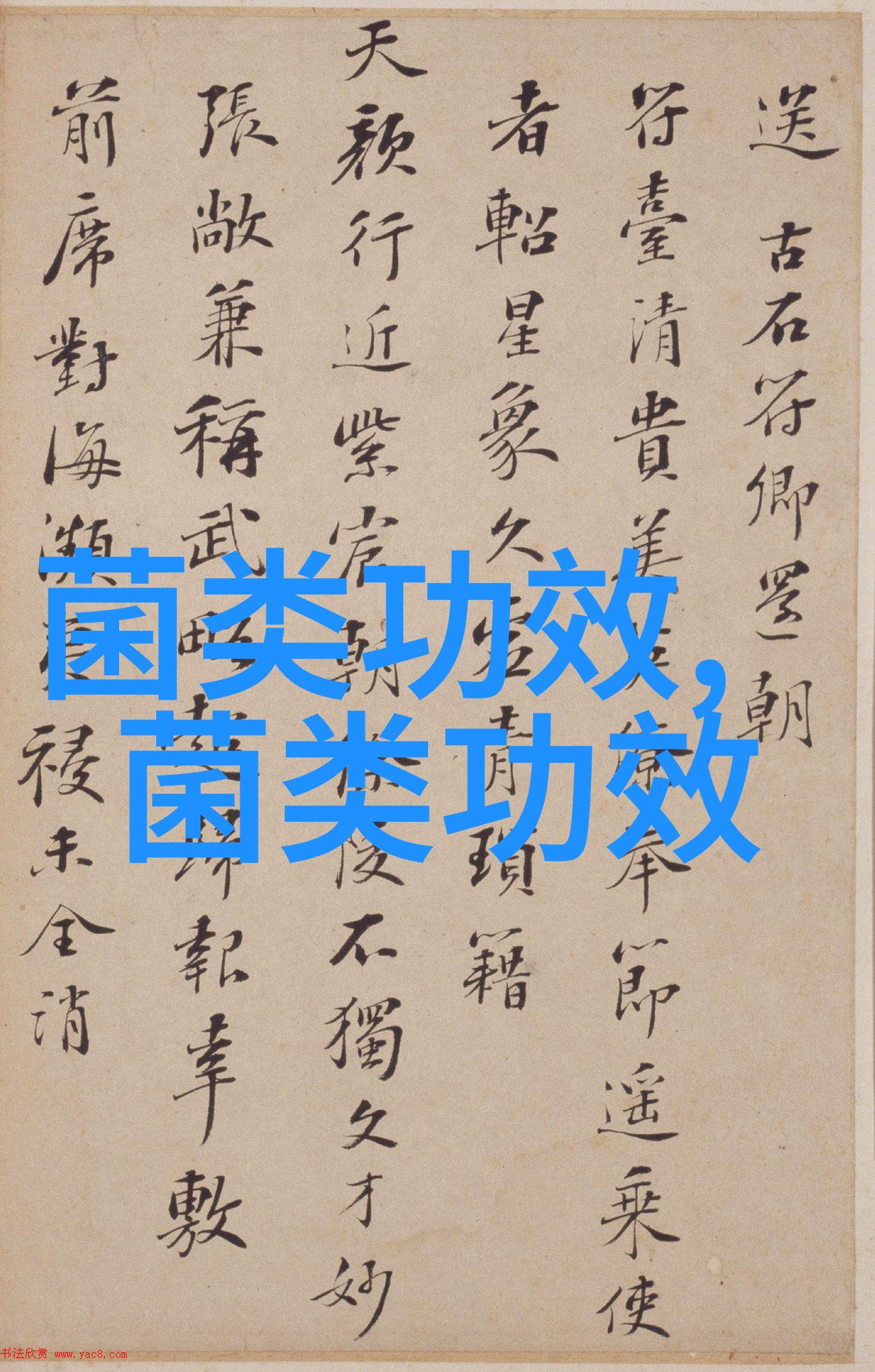 桑黄最佳服用方法不了解的快来看