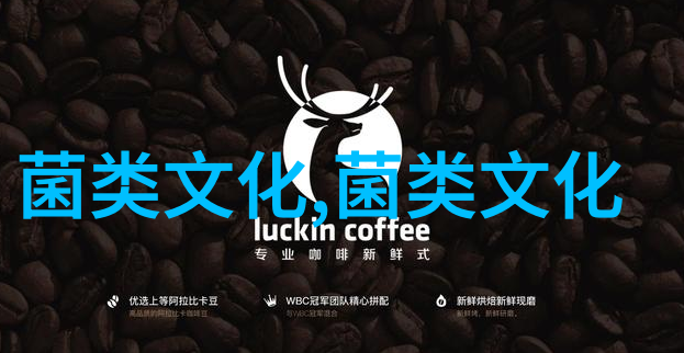 香菇与朱元璋的故事