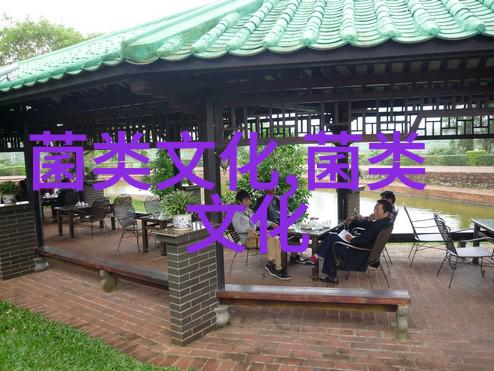 羊肚菌成菇期的管理建议