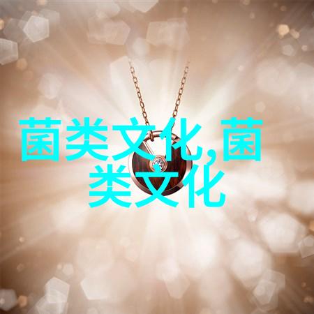 猴头菇的历史
