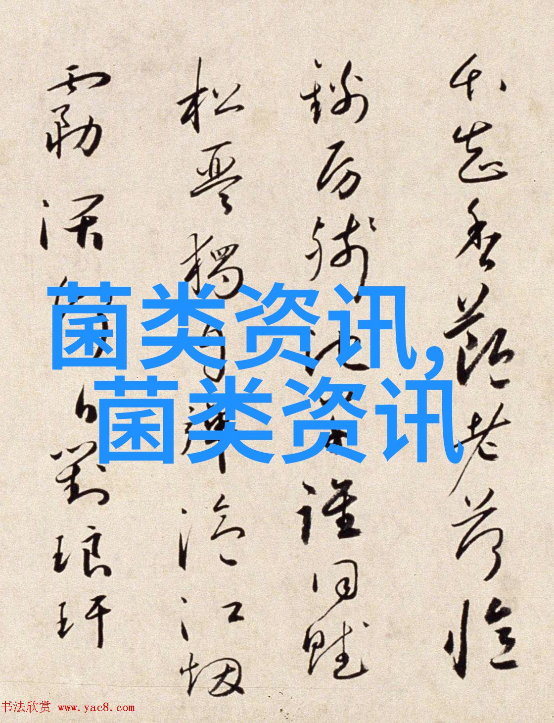 山东成武县食用菌年产量1500吨