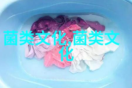 舌尖上的食用菌 食用菌检测及营养