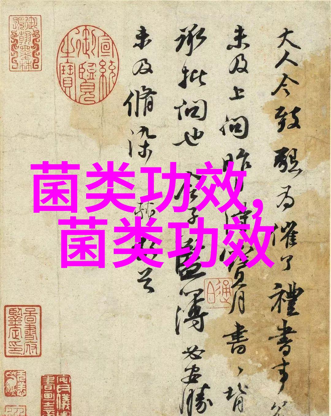 老年人多吃黑木耳可以预防心脑血管疾病