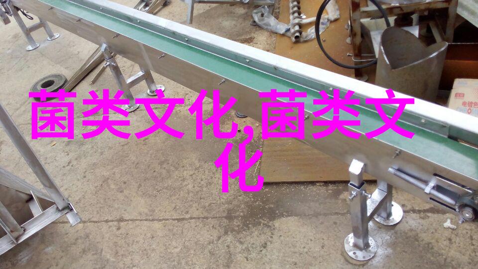 松露可以吃的钻石