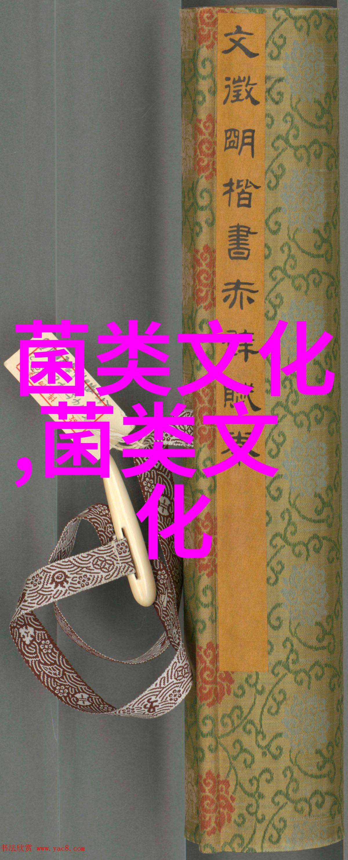 菇民戏的历史