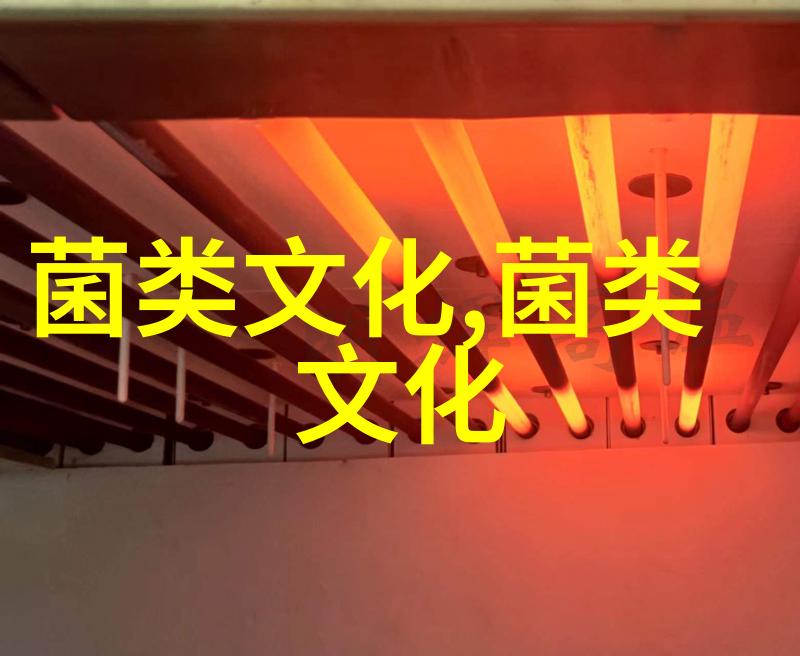 浙江龙泉灵芝发展简史