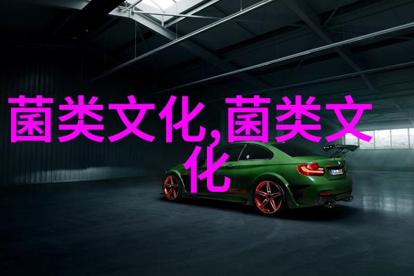 关于食用菌的历史记载