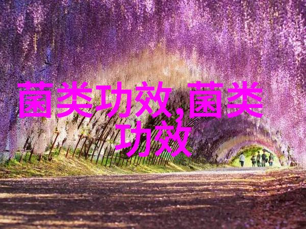 养生新知蘑菇这样吃营养加倍