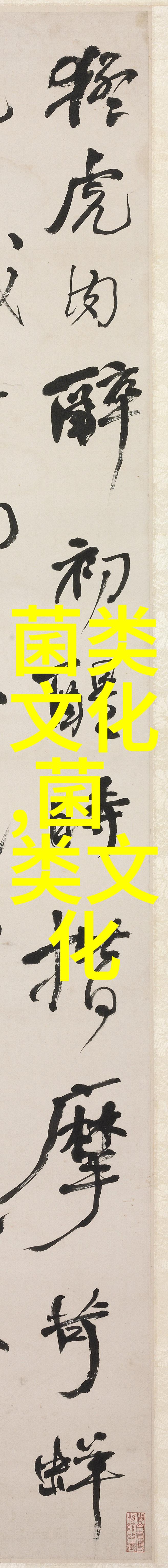 百搭的杏鲍菇