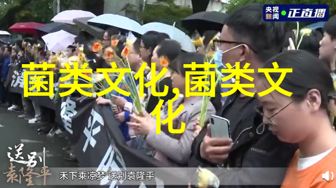 长白山 秋风吹来遍地蘑