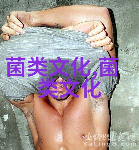 茯苓饼的功效