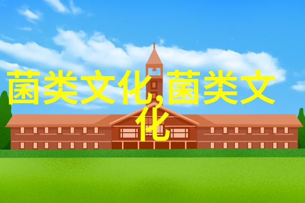 华人纷纷赶办年货 新加坡菇类海参价格上扬