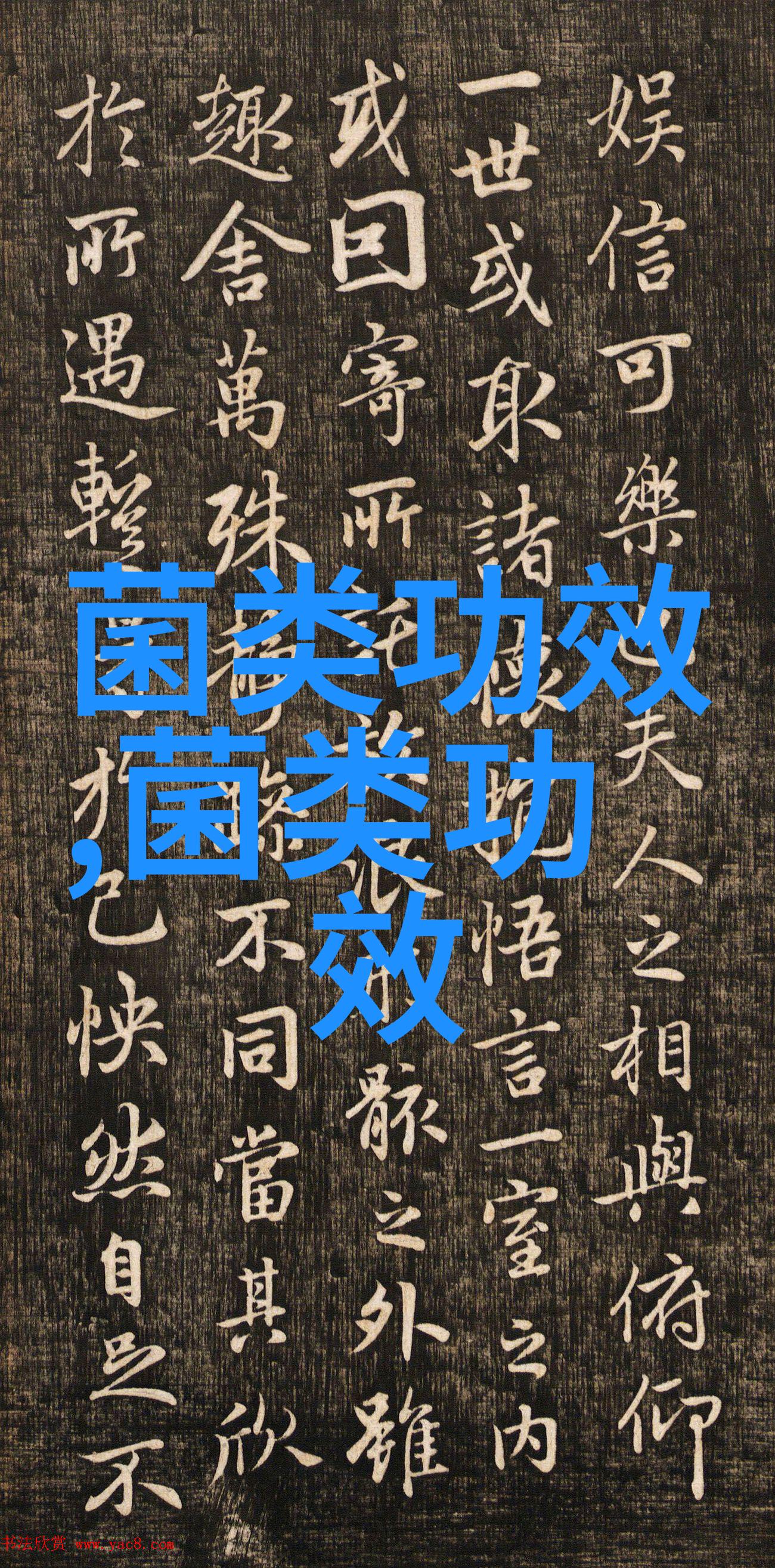 口蘑高产栽培流程老农总结有5点