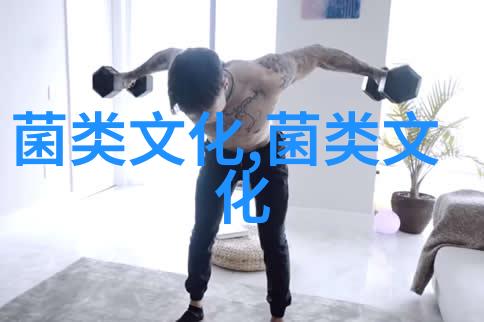 蘑菇的回忆