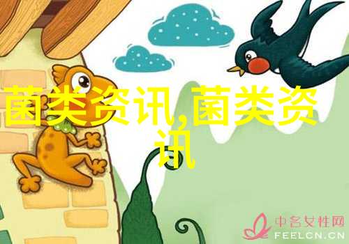 信阳市商城县香菇产业升级撑起致富伞